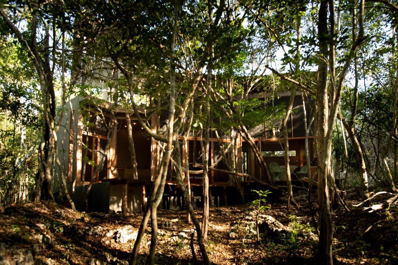 טולום Ojo De Arbol, Boutique Cabin In The Real Jungle מראה חיצוני תמונה