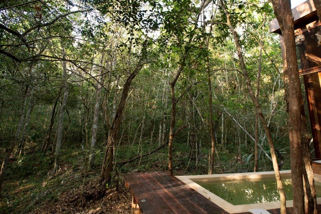 טולום Ojo De Arbol, Boutique Cabin In The Real Jungle מראה חיצוני תמונה