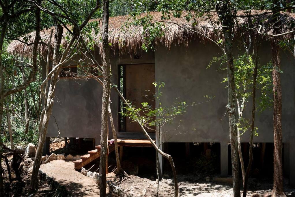 טולום Ojo De Arbol, Boutique Cabin In The Real Jungle מראה חיצוני תמונה