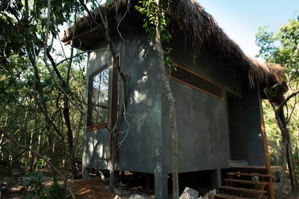 טולום Ojo De Arbol, Boutique Cabin In The Real Jungle מראה חיצוני תמונה