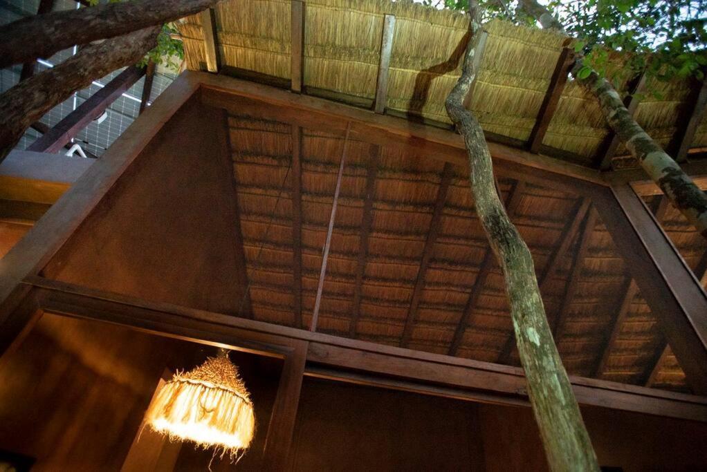 טולום Ojo De Arbol, Boutique Cabin In The Real Jungle מראה חיצוני תמונה