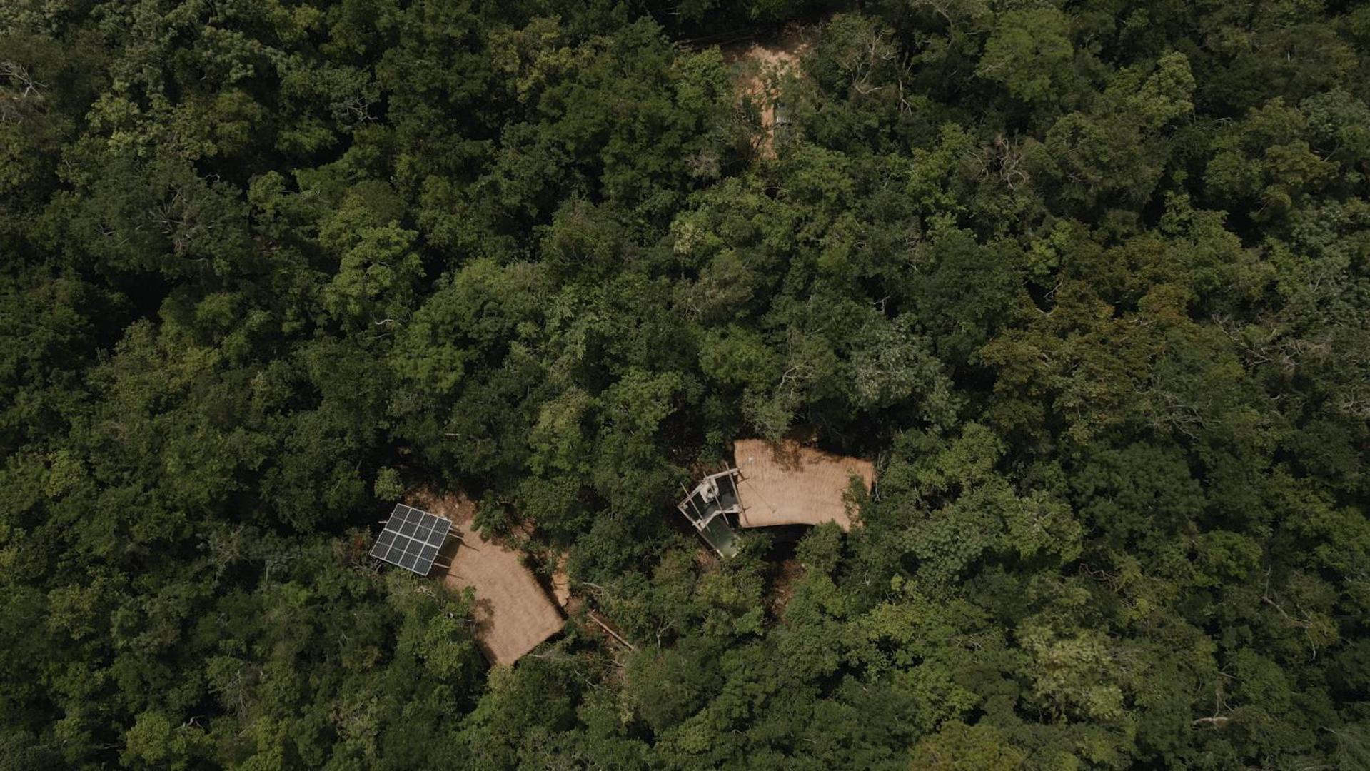 טולום Ojo De Arbol, Boutique Cabin In The Real Jungle מראה חיצוני תמונה